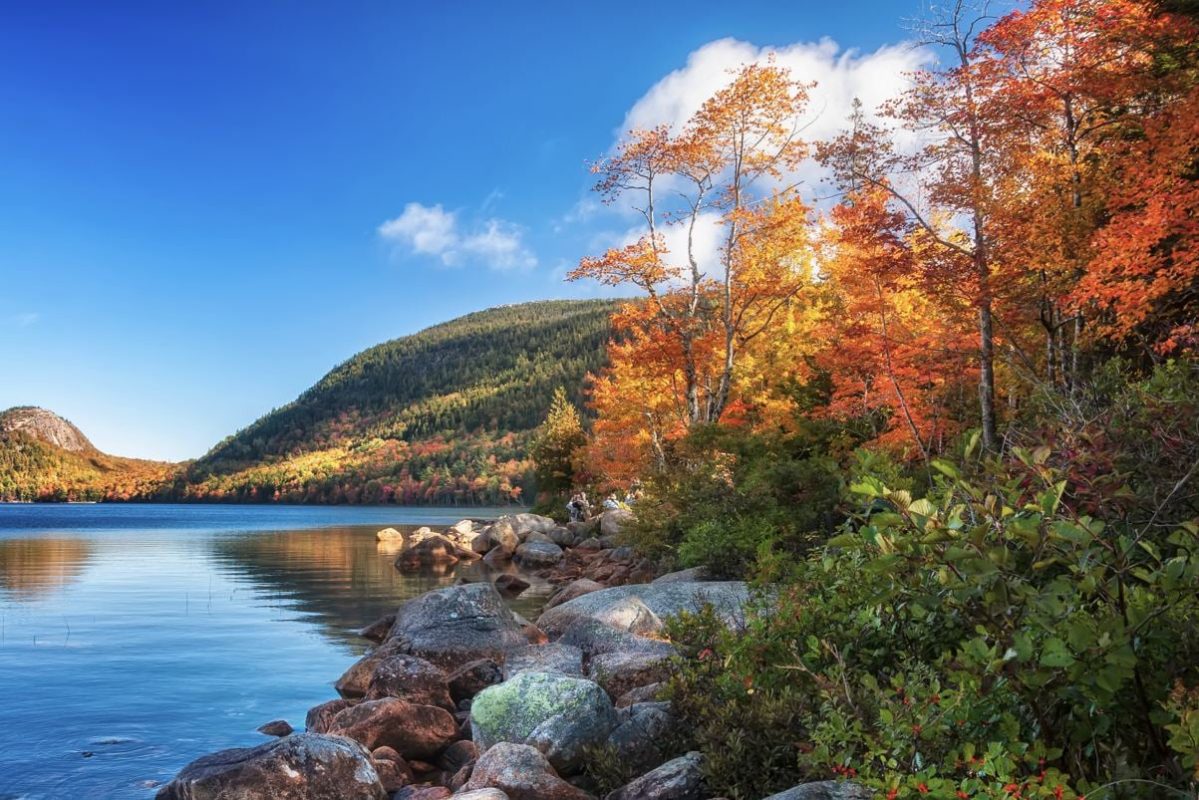 The Best National Parks To See The Fall Foliage This Year